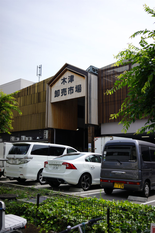 去大阪最大的批发市场(木津批发市场)逛早市,大阪旅游攻略 马蜂窝